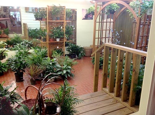 Plant Room - REAL ESTATE AUCTION, Crossroads Flowers